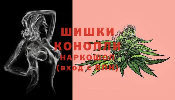дурь Кинешма