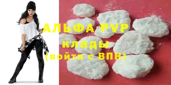 спайс Касимов