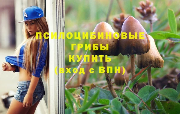 амф Карталы