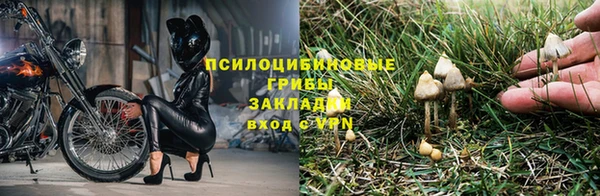 ECSTASY Карпинск