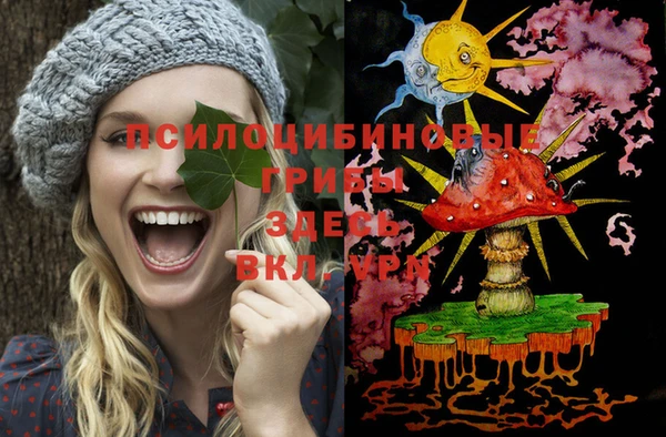 спайс Касимов