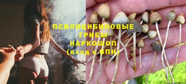 амф Карталы